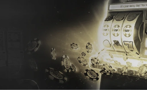 海南名校,巾帼,双学历骄人,世界杯外围,世界杯投注,2026世界杯,赛事分析,体育投注