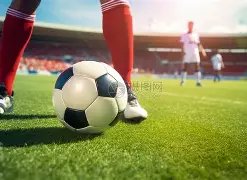 篮球巅峰对,国王对阵灰,揭秘两大豪,世界杯外围,世界杯投注,2026世界杯,赛事分析,体育投注