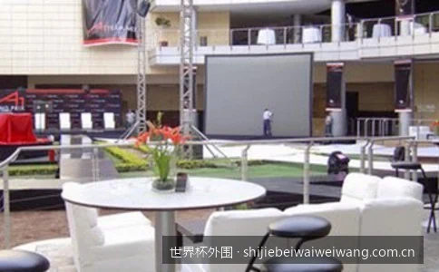 新手必看的世界杯外围盘口分析技巧：如何利用数据提升预测胜率