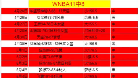 篮球明星进攻分析：卢卡等球员策略解析